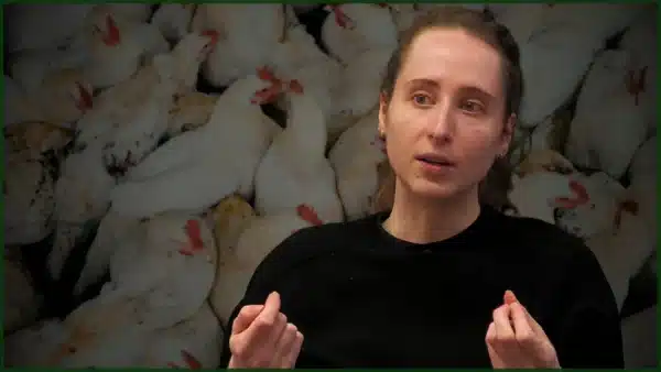 260930 - Actualité Le Grand entretien Axelle Playoust-Braure turbo-poulet Image à la une droite (1920x1080)