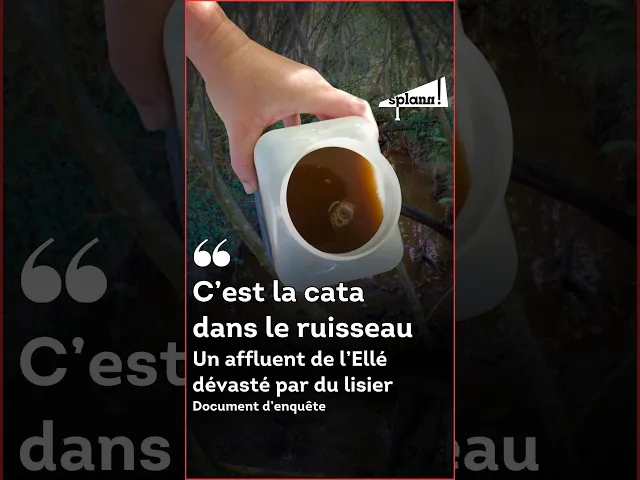 Révélations sur une pollution agricole qui a dévasté un cours d&rsquo;eau du Centre-Bretagne