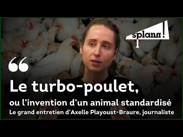 « Turbo-poulet » : la journaliste Axelle Playoust-Braure raconte l&rsquo;envers d&rsquo;un succès industriel