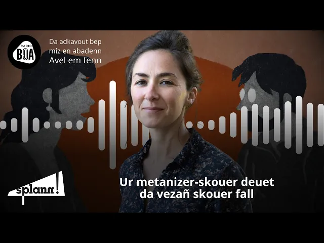 Lizher-kelaouiñ : Gwalleurioù ur metanizer skouer #32